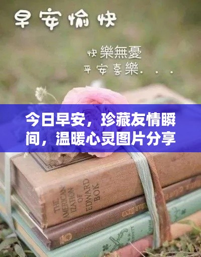今日早安,珍藏友情瞬间,温暖心灵图片分享
