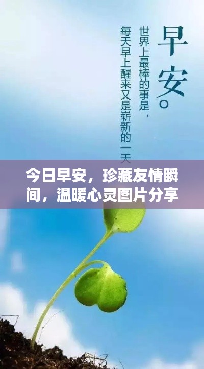 今日早安,珍藏友情瞬间,温暖心灵图片分享