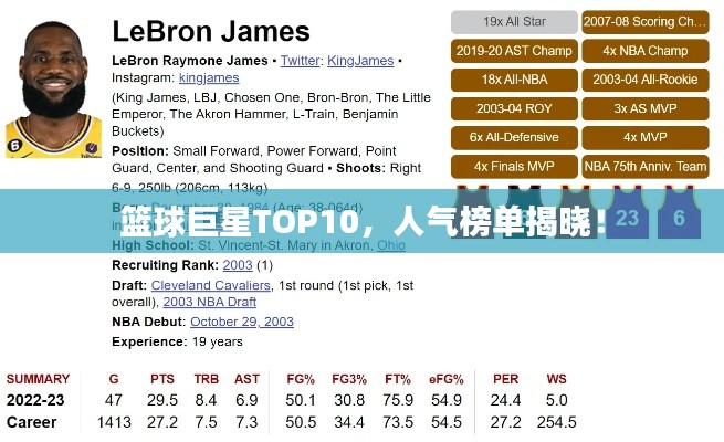 篮球巨星TOP10,人气榜单揭晓!