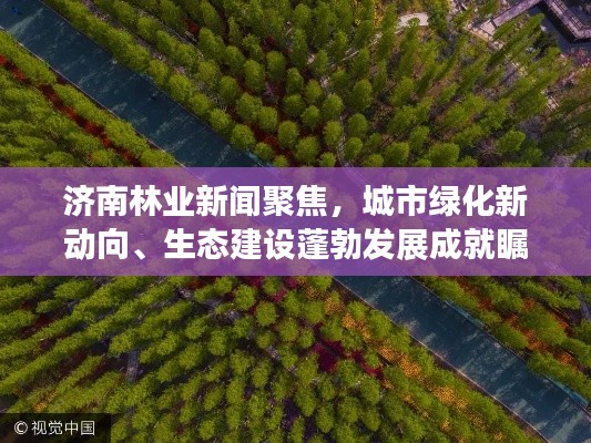 济南林业新闻聚焦,城市绿化新动向、生态建设蓬勃发展成就瞩目