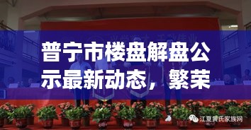普宁市楼盘解盘公示最新动态,繁荣背后的透明化进程
