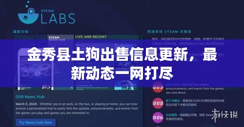 金秀县土狗出售信息更新,最新动态一网打尽