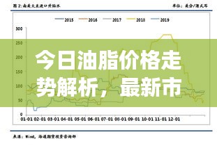 今日油脂价格走势解析,最新市场动态一览