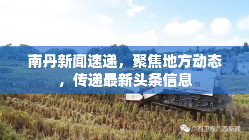 南丹新闻速递,聚焦地方动态,传递最新头条信息