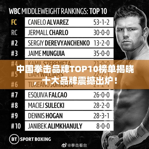 中国拳击品牌TOP10榜单揭晓,十大品牌震撼出炉!