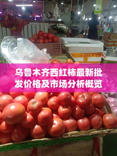 乌鲁木齐西红柿最新批发价格及市场分析概览