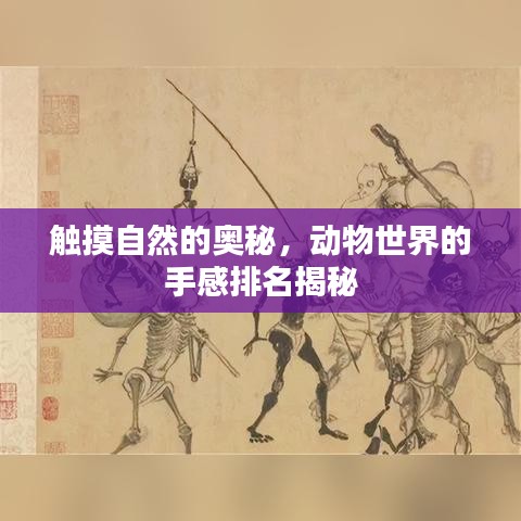 触摸自然的奥秘,动物世界的手感排名揭秘