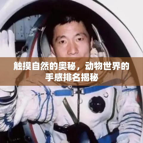 触摸自然的奥秘,动物世界的手感排名揭秘