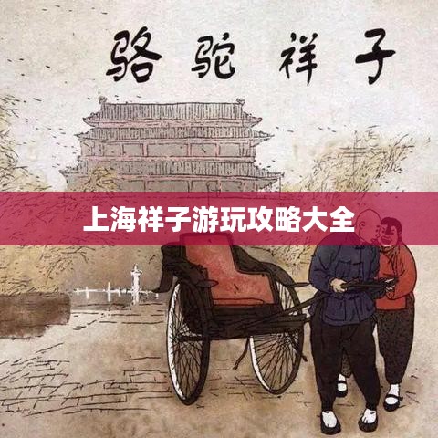 上海祥子游玩攻略大全