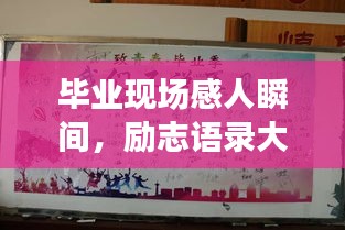 毕业现场感人瞬间,励志语录大放送!