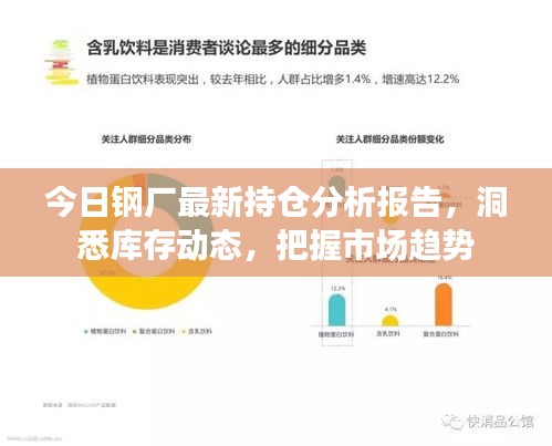 今日钢厂最新持仓分析报告,洞悉库存动态,把握市场趋势
