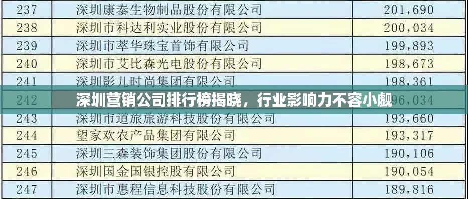 深圳营销公司排行榜揭晓,行业影响力不容小觑