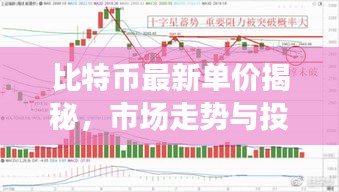 比特币最新单价揭秘,市场走势与投资者心态分析