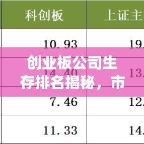 创业板公司生存排名揭秘,市场生存能力的秘密榜单揭晓!