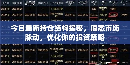今日最新持仓结构揭秘,洞悉市场脉动,优化你的投资策略