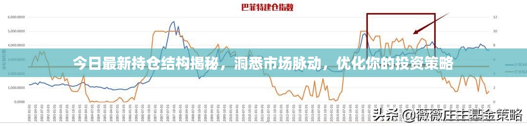 今日最新持仓结构揭秘,洞悉市场脉动,优化你的投资策略