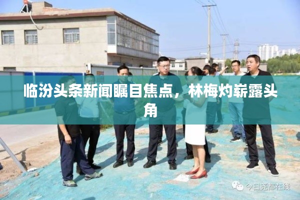 临汾头条新闻瞩目焦点,林梅灼崭露头角