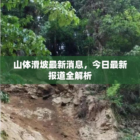 山体滑坡最新消息,今日最新报道全解析