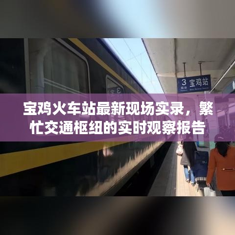 狗尾续貂 第2页