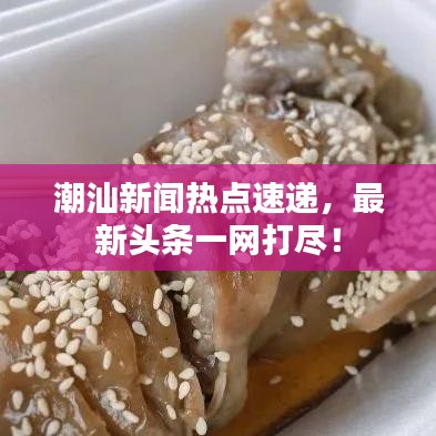 潮汕新闻热点速递,最新头条一网打尽!