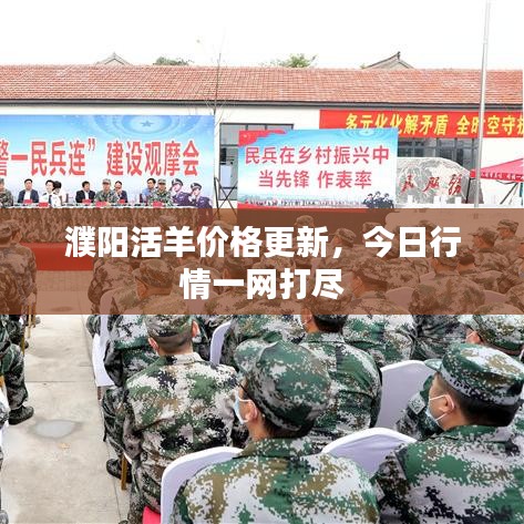 濮阳活羊价格更新,今日行情一网打尽