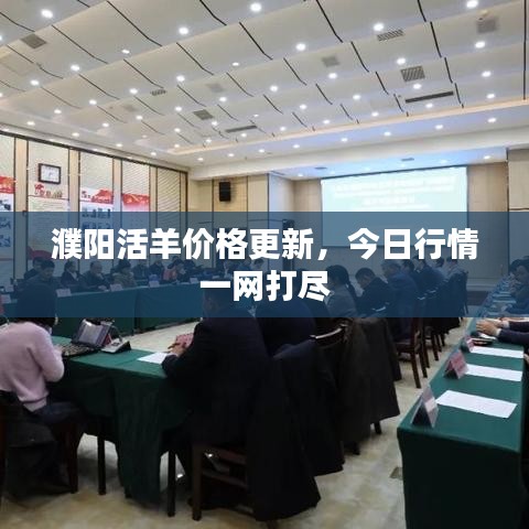 濮阳活羊价格更新,今日行情一网打尽