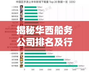 揭秘华西船务公司排名及行业霸主地位!