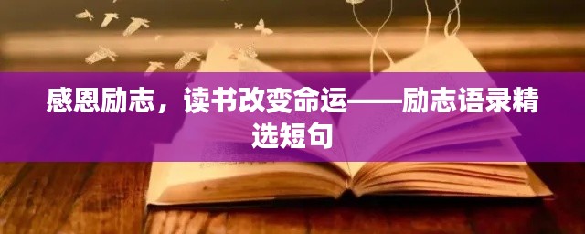 感恩励志,读书改变命运——励志语录精选短句