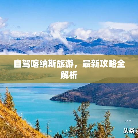 自驾喀纳斯旅游，最新攻略全解析