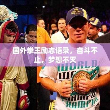 国外拳王励志语录,奋斗不止,梦想不灭