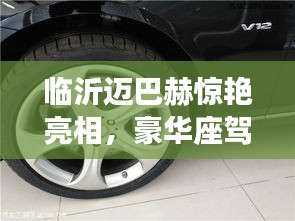 临沂迈巴赫惊艳亮相,豪华座驾引领潮流新动态!