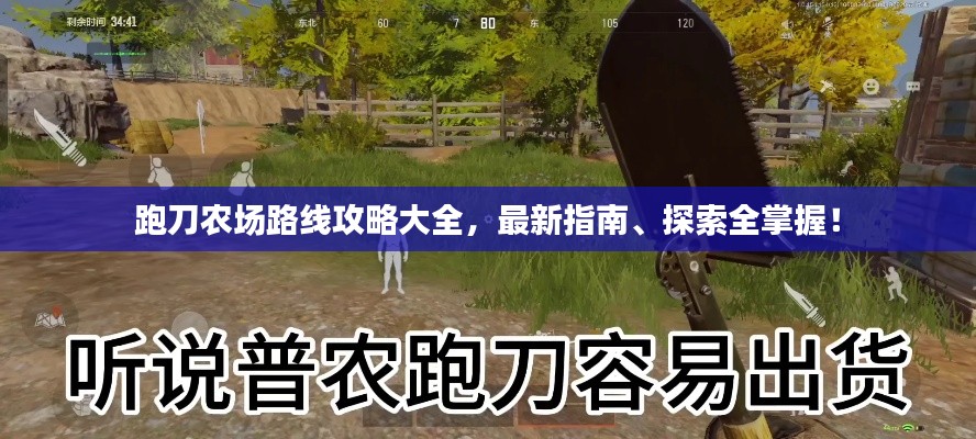 跑刀农场路线攻略大全,最新指南、探索全掌握!