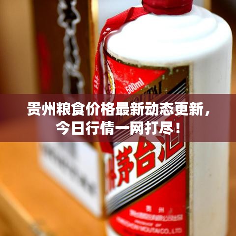 贵州粮食价格最新动态更新,今日行情一网打尽!