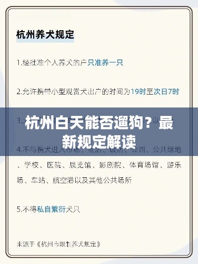 杭州白天能否遛狗?最新规定解读