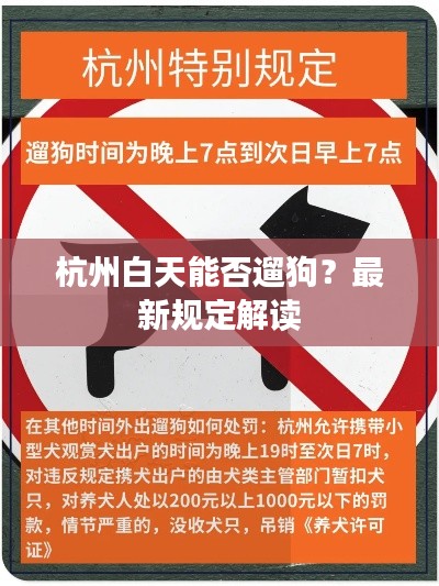 杭州白天能否遛狗?最新规定解读