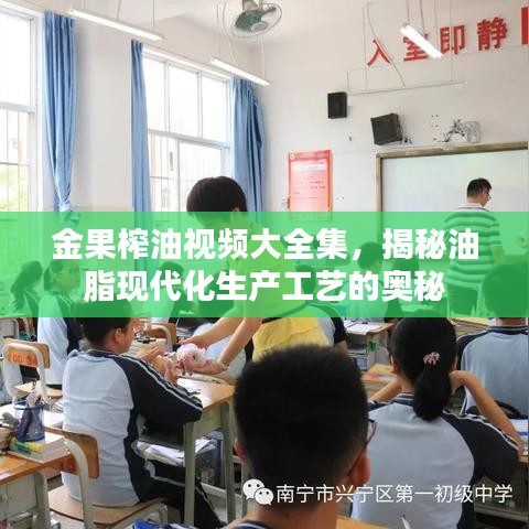 金果榨油视频大全集,揭秘油脂现代化生产工艺的奥秘