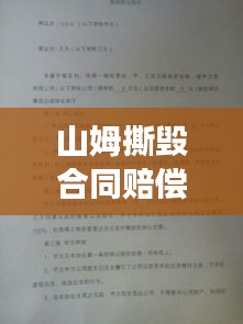 山姆撕毁合同赔偿案例深度解析,最新进展与启示