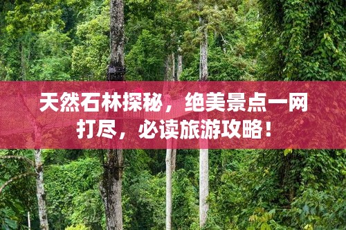 天然石林探秘，绝美景点一网打尽，必读旅游攻略！