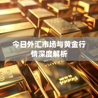 今日外汇市场与黄金行情深度解析