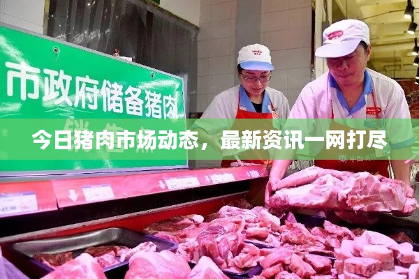 今日猪肉市场动态,最新资讯一网打尽