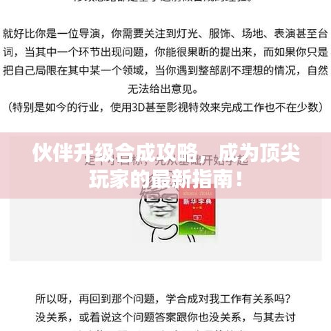 伙伴升级合成攻略,成为顶尖玩家的最新指南!