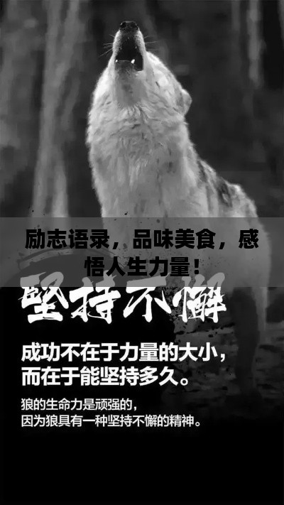 励志语录,品味美食,感悟人生力量!