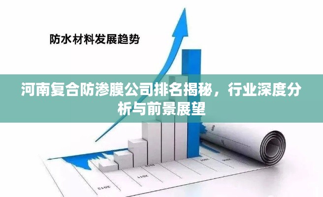 河南复合防渗膜公司排名揭秘,行业深度分析与前景展望
