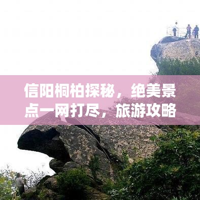 信阳桐柏探秘,绝美景点一网打尽,旅游攻略大揭秘!