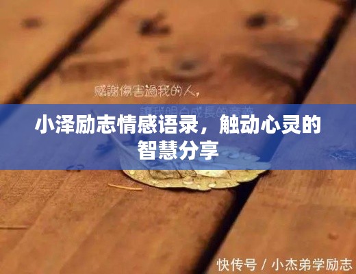 小泽励志情感语录,触动心灵的智慧分享