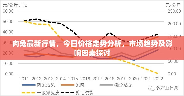 肉兔最新行情，今日价格走势分析，市场趋势及影响因素探讨