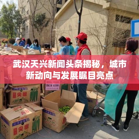 建站服务 第99页