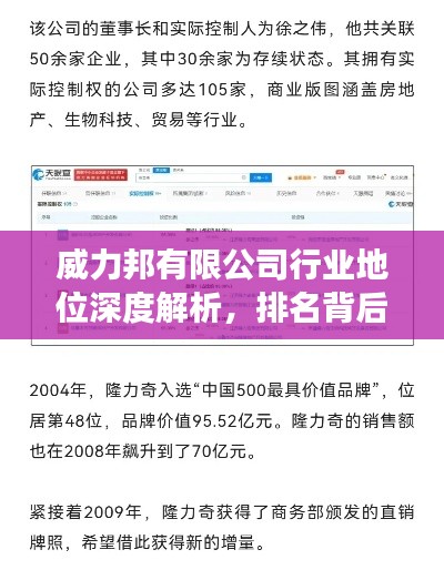威力邦有限公司行业地位深度解析,排名背后的实力展现