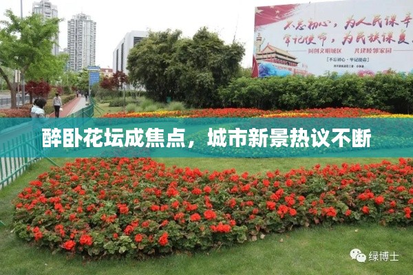醉卧花坛成焦点，城市新景热议不断