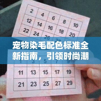 宠物染毛配色标准全新指南，引领时尚潮流的最新规范揭秘！